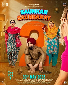 Poster for Saunkan Saunkanay 2